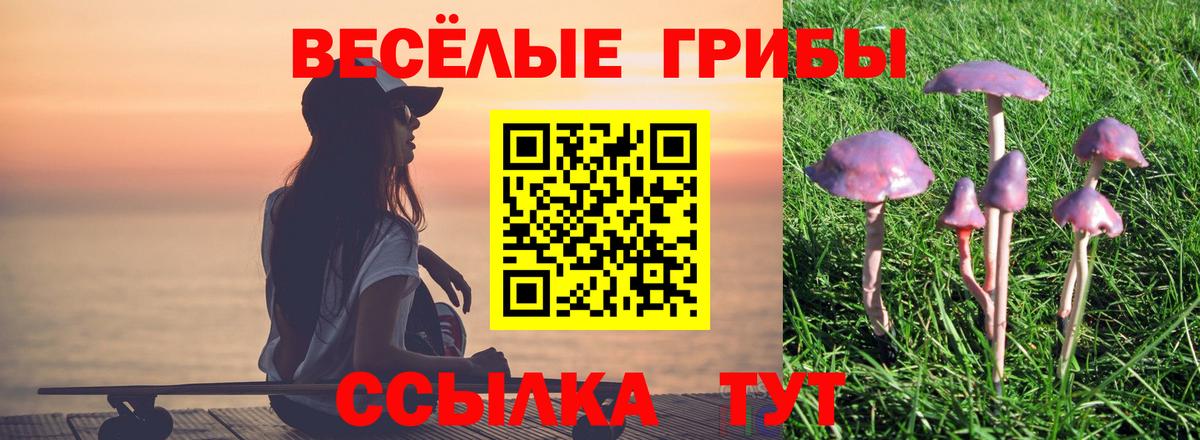 Воркута  Галлюциногенные грибы Cubensis  Вход с VPN 